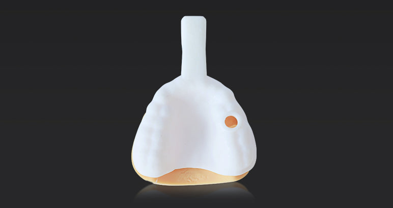 AccuFab-D1s Dental 3D Printer