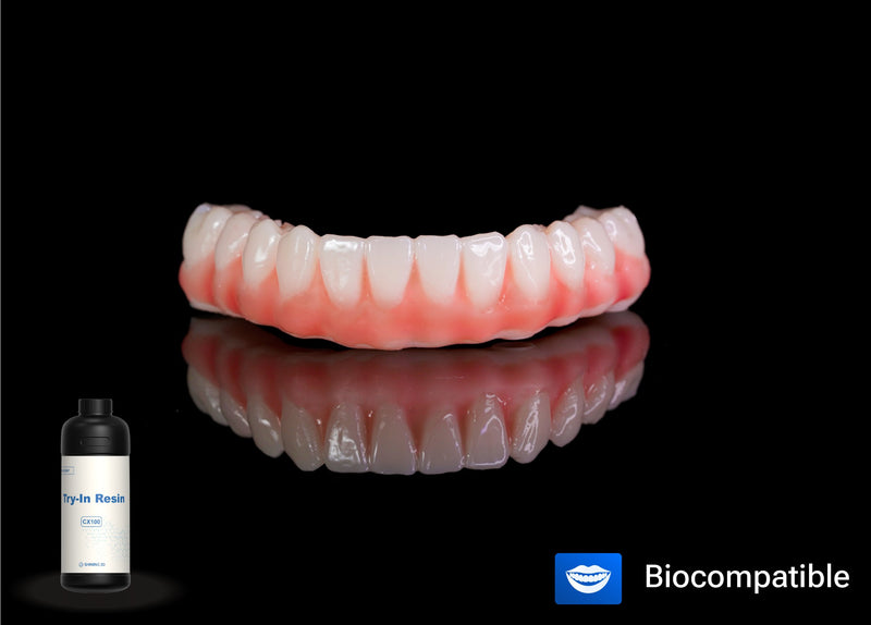 SHINING DENT CX100 – All-on-X Try-In Resin