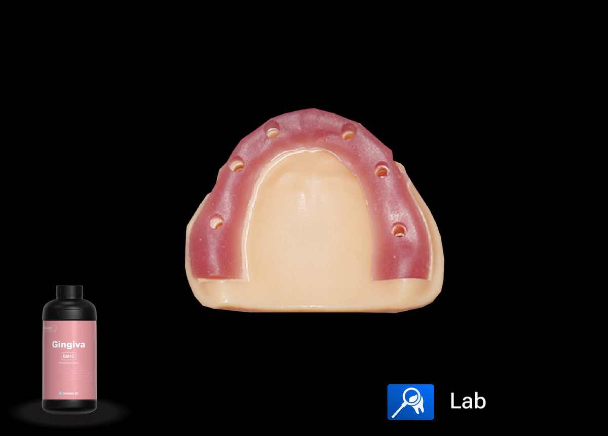 SHINING DENT GM12 resin bottle and printed model with gingiva mask