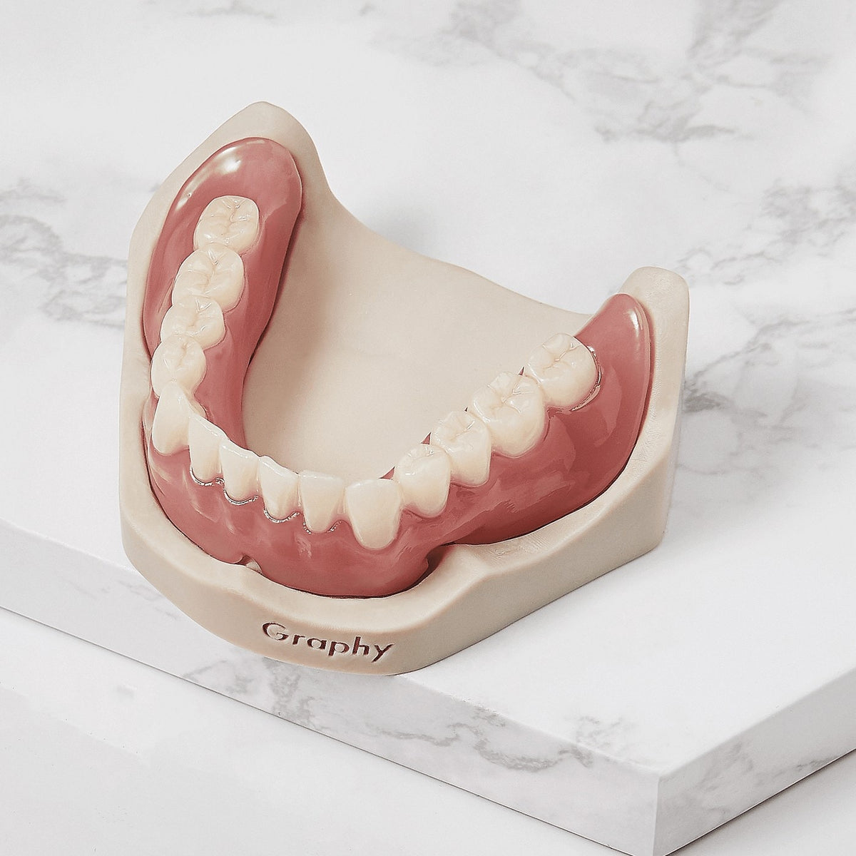 Full denture printed in Graphy Tera Harz THD resin