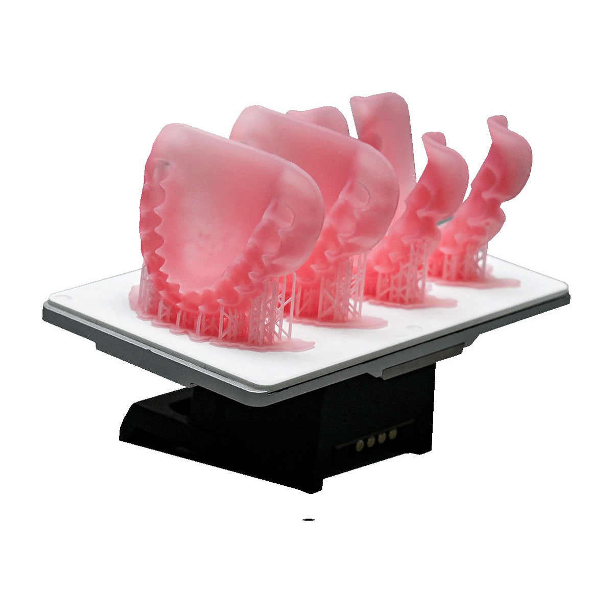 AccuFab-F1 build platform with printed denture bases