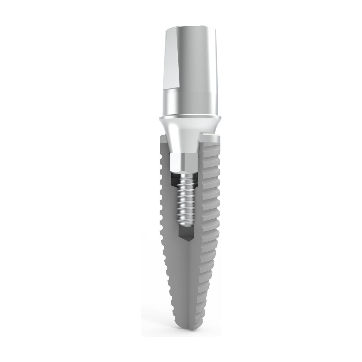 MESA IGEA implant-abutment conical connection cross-section (illustration)