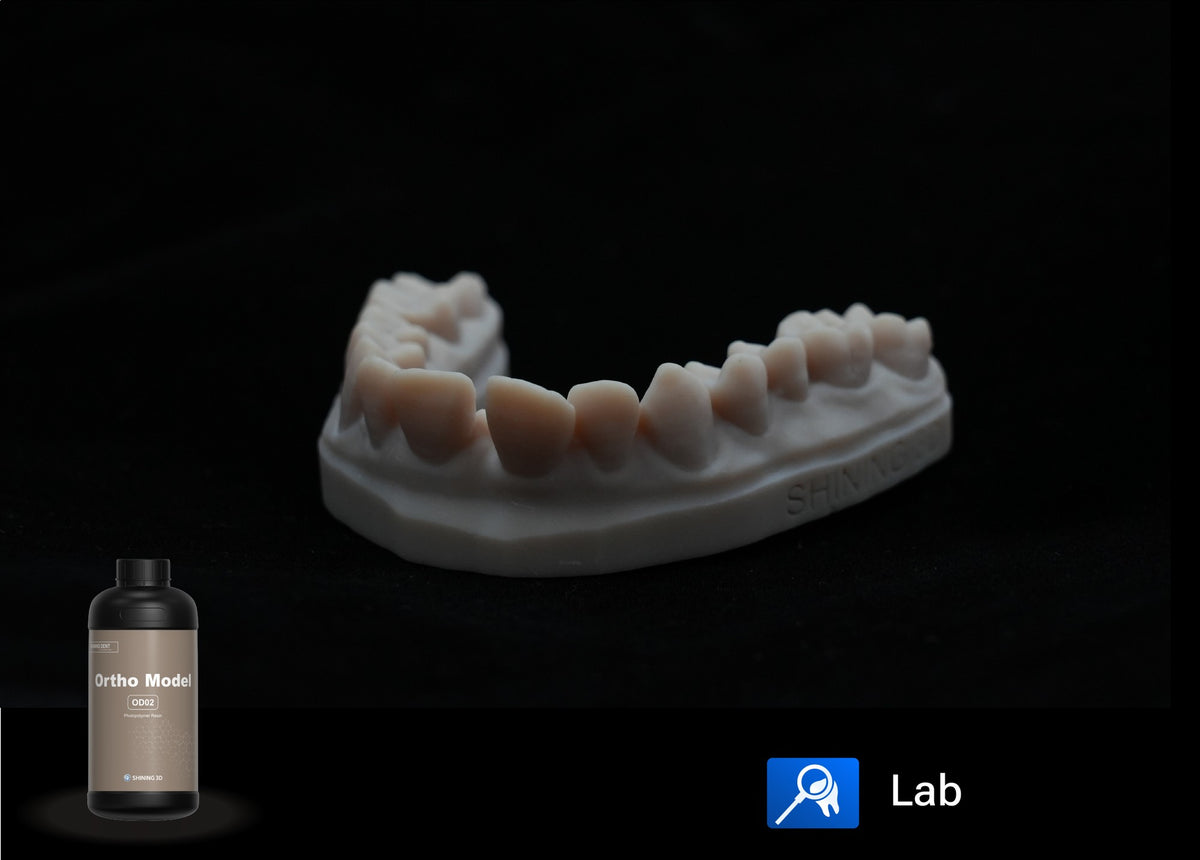 SHINING DENT OD02 Ortho Model resin bottle and printed model