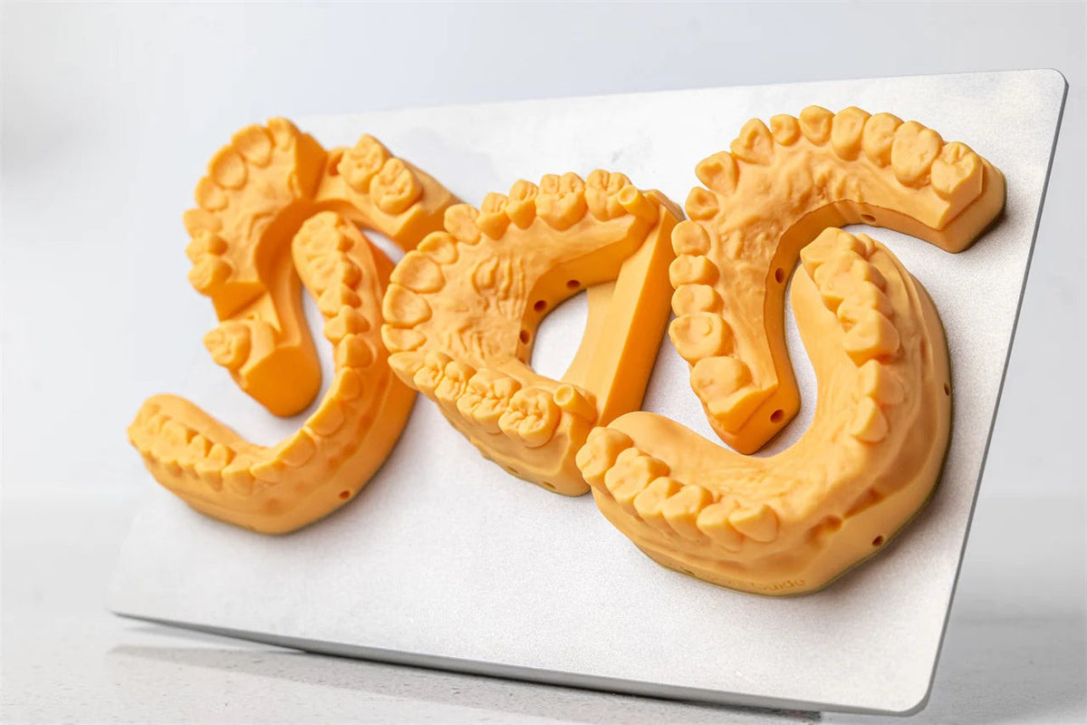 Dental arch models printed in SHINING DENT DM12 resin